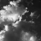 Maxed Out #7: Fallen