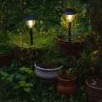 Maxed Out #4: Vampire House Warming