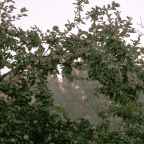 Taking Care of Our Elders